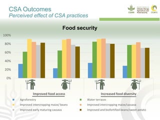 0%
20%
40%
60%
80%
100%
Male Female Male Female
Improved food access Increased food diversity
Agroforestry Water terraces
Improved intercropping maize/ beans Improved intercropping maize/cassava
Improved early maturing cassava Improved and biofortified beans/sweet potato
CSA Outcomes
Perceived effect of CSA practices
Food security
 