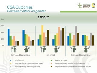 Monitoring CSA outcomes | PDF