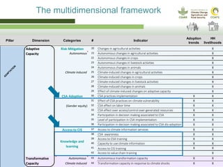 Pillar Dimension Categories # Indicator
Adoption
trends
HH
livelihoods
Events affecting ag.
income
Impacts on agricultural income X X
Climate shocks Climate-related impacts on income X X
Shocks
Livelihood Security 1 CSA effect on yield/production X X
2 CSA effect on income X X
Food Security 3 Effect of CSA practices on food access X X
4 Effect of CSA practices on food diversity X X
5 Fulfillment of basic food needs X
6 Household Food Insecurity Access score (HFIAS) X
7 Household Food Insecurity Access Prevalence (HFIAP) X
8 Food sources share X
PRODUCTIVITY
The multidimensional framework
Δ6 Δ Positive effect of CSA practices on food diversity X
11 Coping strategies X
12 Access to agricultural credit X X
Financial enablers 13 Access to agricultural credit with climate related intention
14 Access to agricultural insurance X X
15 Access to agricultural insurance (Climate Intention)
16 Access to financial services from buyers or providers X
17 Saving capacities associated to agricultural income X X
18 On-farm Investment capacities X X
19 On-farm Investment (Climate intention) X
20 Changes in agricultural activities X
Autonomous
changes
21 Autonomous changes in agricultural activities X
22 Autonomous changes in crops X
23 Autonomous changes in livestock activities X
24 Autonomous changes in animals X
Climate induced
changes
25 Climate-induced changes in agricultural activities X
26 Climate-induced changes in crops X
27 Climate-induced changes in livestock activities X
28 Climate-induced changes in animals X
29 Effect of climate-induced changes on adaptive capacity X
CSA Adoption 30 CSA practices implementation X X
31 Effect of CSA practices on climate vulnerability X X
(Gender equity) 32 CSA effect on labor time X X
33 CSA effect over access/control over generated resources X X
34 Participation in decision making associated to CSA
implementation
X X
35 Level of participation in CSA implementation X X
36 Participation in decision making associated to CSA dis-adoption X X
Access to CIS 37 Access to climate information services X X
38 CSA awareness X X
39 Access to CSA training X X
40 Capacity to use climate information X X
41 Access to CIS training X X
42 Access to value chain training X
Autonomous 43 Autonomous transformation capacity X X
Drivers to autonomous transformational changes XClimate induced 44 Transformation capacity in response to climate shocks X X
Absortive
Capacity
Adaptive
Capacity
Risk Mitigation
Coping Strategies
Transformative
Capacity
ADAPTATION
Knowledge and
learning
 