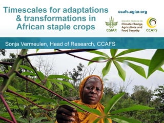 Timescales for adaptations
& transformations in
African staple crops
Sonja Vermeulen, Head of Research, CCAFS
ccafs.cgiar.org
 