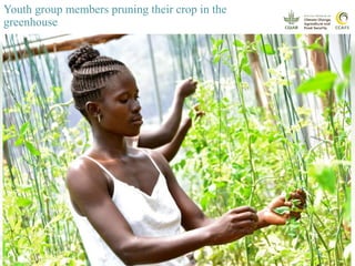 Youth and CSA: Lessons and experiences from CCAFS East Africa