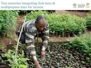 Youth and CSA: Lessons and experiences from CCAFS East Africa