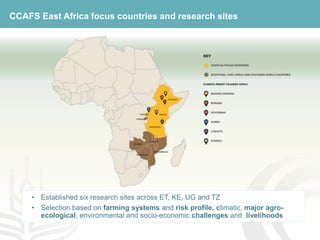 Youth and CSA: Lessons and experiences from CCAFS East Africa