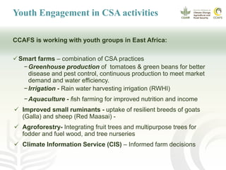 Youth and CSA: Lessons and experiences from CCAFS East Africa