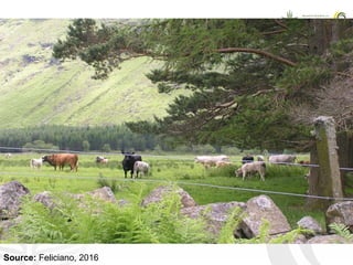 CCAFS EA Presentation for MOT training in ILRI Addis Ababa, Ethiopia.