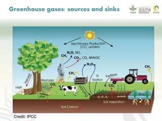 CCAFS EA Presentation for MOT training in ILRI Addis Ababa, Ethiopia.