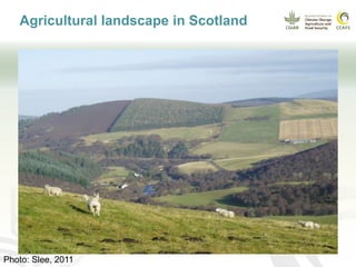 CCAFS EA Presentation for MOT training in ILRI Addis Ababa, Ethiopia.