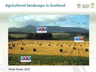 CCAFS EA Presentation for MOT training in ILRI Addis Ababa, Ethiopia.