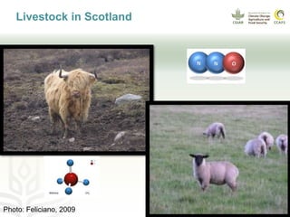 CCAFS EA Presentation for MOT training in ILRI Addis Ababa, Ethiopia.