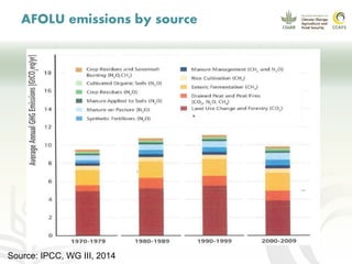 CCAFS EA Presentation for MOT training in ILRI Addis Ababa, Ethiopia.
