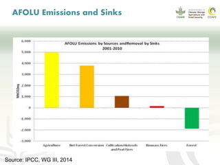 CCAFS EA Presentation for MOT training in ILRI Addis Ababa, Ethiopia.