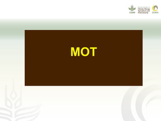 CCAFS EA Presentation for MOT training in ILRI Addis Ababa, Ethiopia.