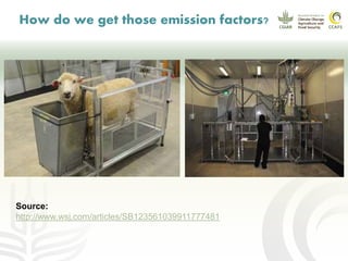 CCAFS EA Presentation for MOT training in ILRI Addis Ababa, Ethiopia.