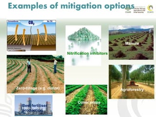 CCAFS EA Presentation for MOT training in ILRI Addis Ababa, Ethiopia.