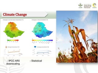 CCAFS EA Presentation for MOT training in ILRI Addis Ababa, Ethiopia.