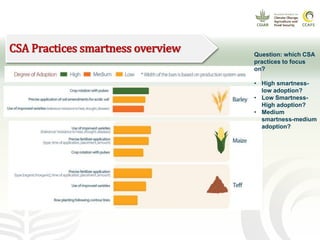 CCAFS EA Presentation for MOT training in ILRI Addis Ababa, Ethiopia.