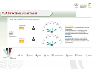 CCAFS EA Presentation for MOT training in ILRI Addis Ababa, Ethiopia.