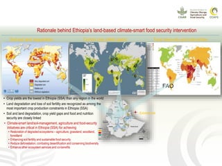CCAFS EA Presentation for MOT training in ILRI Addis Ababa, Ethiopia.