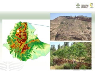 CCAFS EA Presentation for MOT training in ILRI Addis Ababa, Ethiopia.