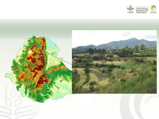 CCAFS EA Presentation for MOT training in ILRI Addis Ababa, Ethiopia.