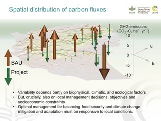 CCAFS EA Presentation for MOT training in ILRI Addis Ababa, Ethiopia.