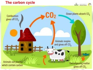 CCAFS EA Presentation for MOT training in ILRI Addis Ababa, Ethiopia.