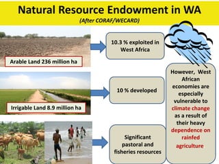 Climate change and food security in West Africa: Demand for climate and ...