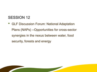 SESSION 12

•

GLF Discussion Forum: National Adaptation
Plans (NAPs) --Opportunities for cross-sector
synergies in the nexus between water, food
security, forests and energy

 