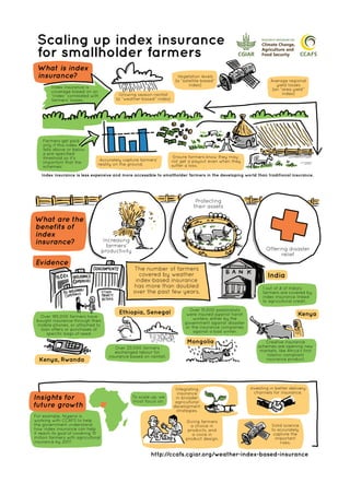 Infographic: How index insurance can help smallholder farmers