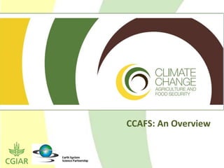CCAFS: An Overview 