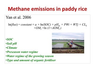 Methane emissions in paddy rice
Yan et al. 2006
ln(flux) = constant + a × ln(SOC) + pHm + PWi + WTj + CLk
+OMl ×ln (1+AOMl )
•SOC
•Soil pH
•Climate
•Preseason water regime
•Water regime of the growing season
•Type and amount of organic fertiliser
 