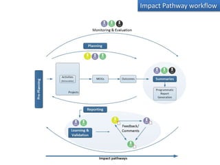 Impact Pathway workflow
 