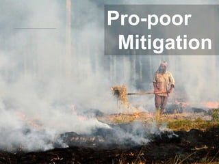 Climate Change, Agriculture and Food Security