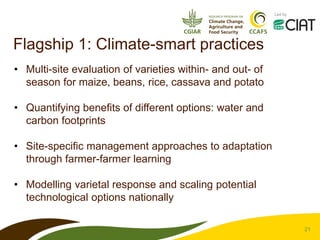 CCAFS – Presentation for Discussion with Donors and Partners – June 2013