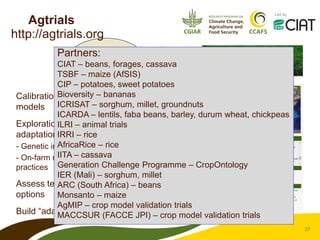 CCAFS – Presentation for Discussion with Donors and Partners – June 2013