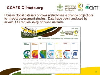 CCAFS – Presentation for Discussion with Donors and Partners – June 2013