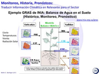 Pronósticos climáticos y toma de decisiones
