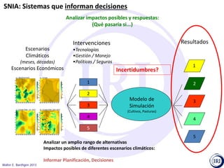Pronósticos climáticos y toma de decisiones