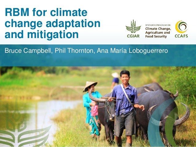climate change adaptation and mitigation in However, the vast majority of climate change adaptation and mitigation policies are being implemented on a more local scale due to the fact that different regions must adapt differently to climate change and because national and global policies are often more challenging to enact. climate change adaptation and mitigation in However, the vast majority of climate change adaptation and mitigation policies are being implemented on a more local scale due to the fact that different regions must adapt differently to climate change and because national and global policies are often more challenging to enact.
