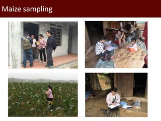 Surveillance and early warning systems for climate-sensitive diseases in Vietnam (2015–17)