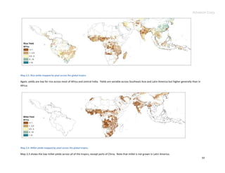 Advance Copy




Map 3.2. Rice yields mapped by pixel across the global tropics

Again, yields are low for rice across most of Africa and central India. Yields are variable across Southeast Asia and Latin America but higher generally than in
Africa.




Map 3.3. Millet yields mapped by pixel across the global tropics.

Map 3.3 shows the low millet yields across all of the tropics, except parts of China. Note that millet is not grown in Latin America.
                                                                                                                                                                   33
 
