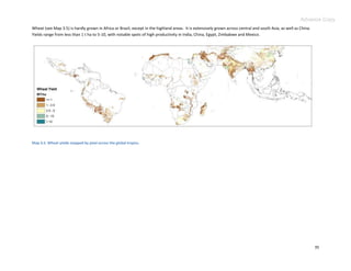 Advance Copy
Wheat (see Map 3.5) is hardly grown in Africa or Brazil, except in the highland areas. It is extensively grown across central and south Asia, as well as China.
Yields range from less than 1 t ha to 5-10, with notable spots of high productivity in India, China, Egypt, Zimbabwe and Mexico.




Map 3.5. Wheat yields mapped by pixel across the global tropics.




                                                                                                                                                                  35
 