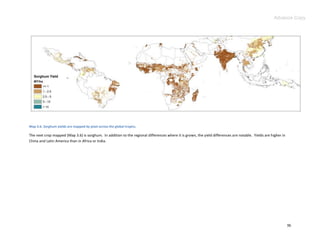 Advance Copy




Map 3.6. Sorghum yields are mapped by pixel across the global tropics.

The next crop mapped (Map 3.6) is sorghum. In addition to the regional differences where it is grown, the yield differences are notable. Yields are higher in
China and Latin America than in Africa or India.




                                                                                                                                                                36
 