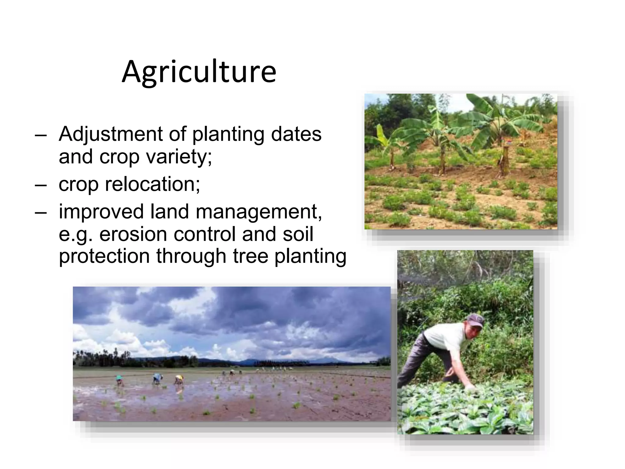 Agriculture
– Adjustment of planting dates
and crop variety;
– crop relocation;
– improved land management,
e.g. erosion control and soil
protection through tree planting
 