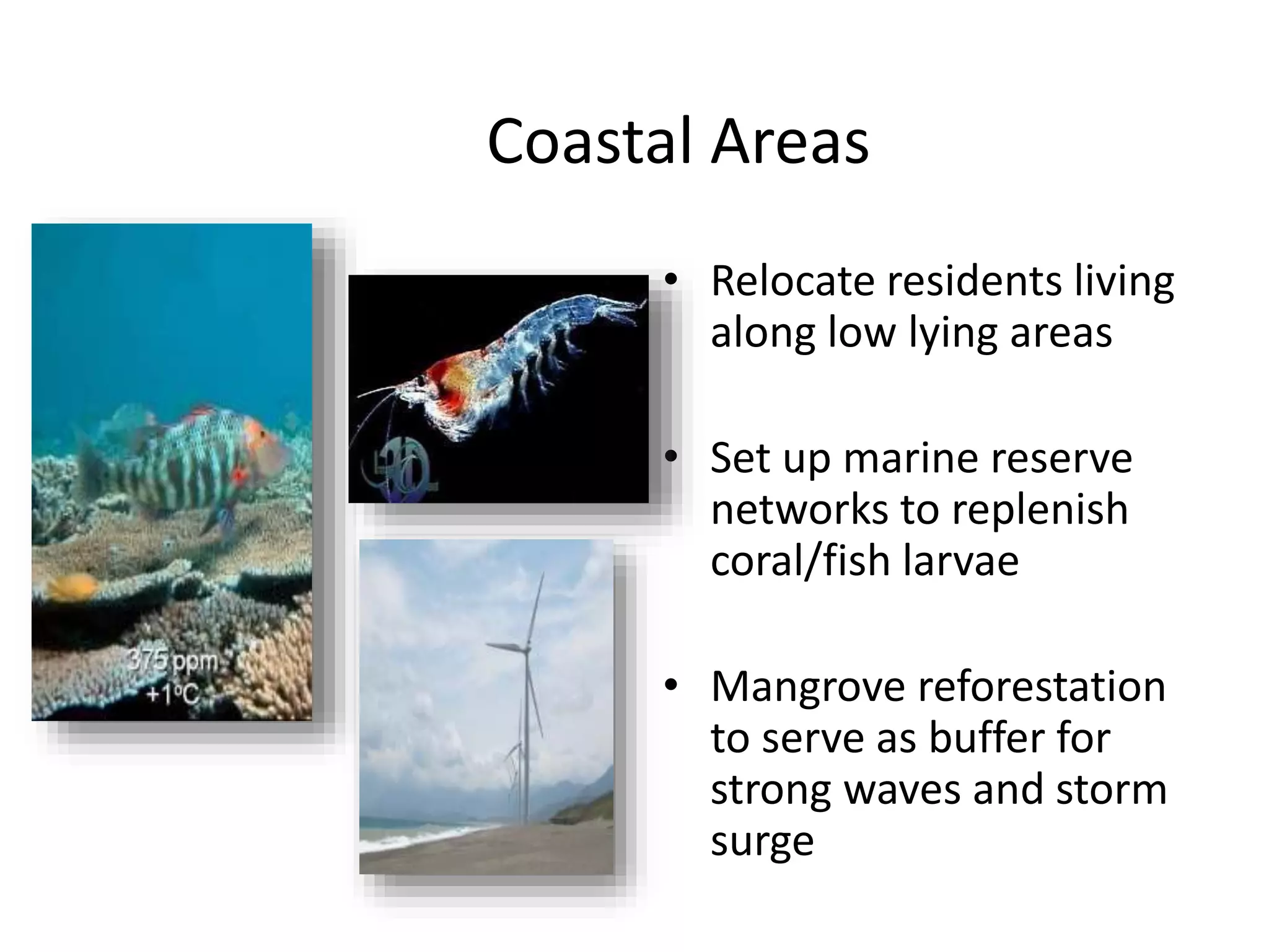 Coastal Areas
• Relocate residents living
along low lying areas
• Set up marine reserve
networks to replenish
coral/fish larvae
• Mangrove reforestation
to serve as buffer for
strong waves and storm
surge
 