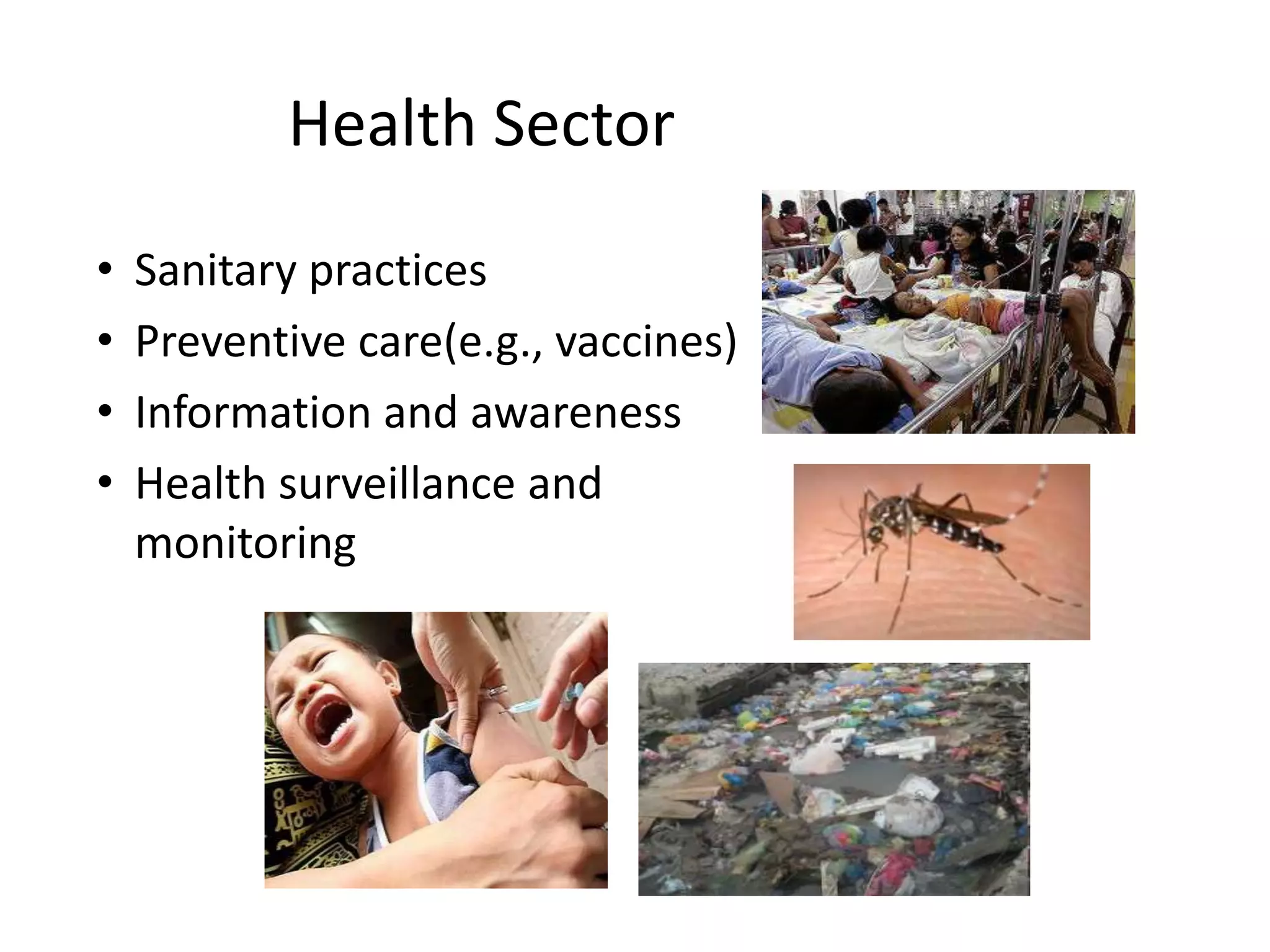 Health Sector
• Sanitary practices
• Preventive care(e.g., vaccines)
• Information and awareness
• Health surveillance and
monitoring
 