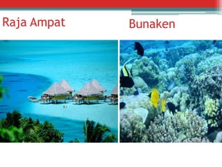 Raja Ampat

Bunaken

 