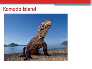 Komodo Island

 