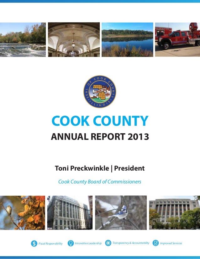 Cook County Annual Report 2013