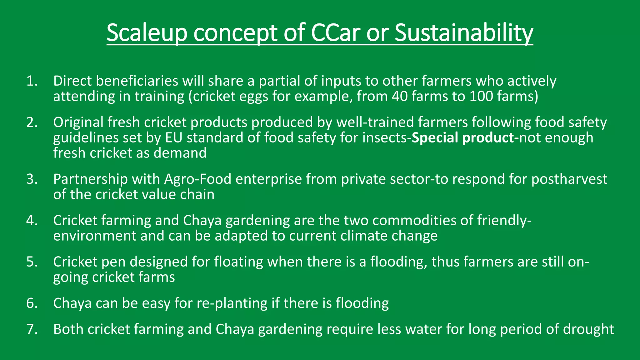 CCar projectLDC.pdf